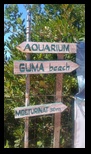 Aquarium Guma Beach -30-06-2025 - Bogdan Balaban